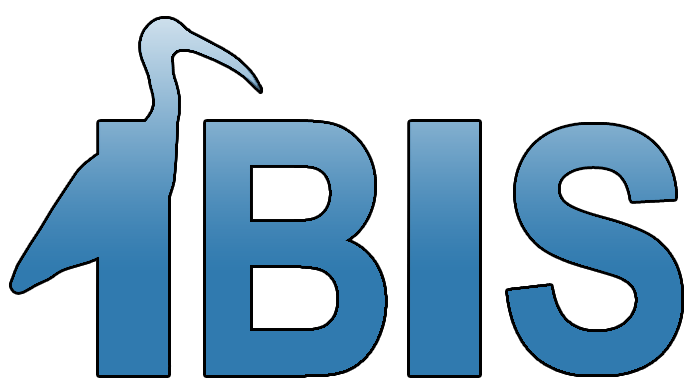 Ibis Computers